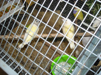 DSCN0001.JPG