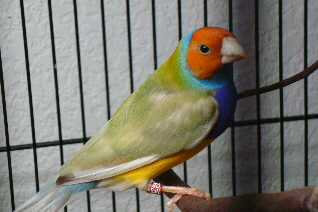 DSC00291.JPG