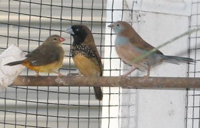 DSCN0021.JPG