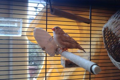 IMAG012222.jpg