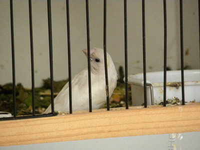 DSCN4260.JPG