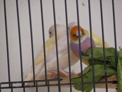DSCN4262.JPG