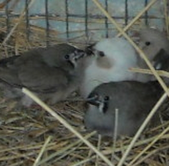 DSCN0008.JPG