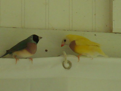 DSC08119.JPG