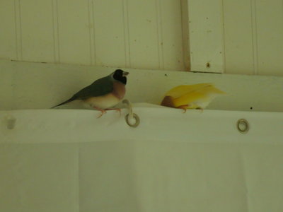 DSC08117.JPG
