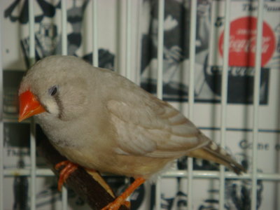 DSC00848.JPG