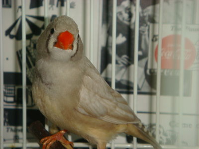 DSC00847.JPG
