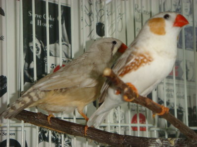 DSC00831.JPG