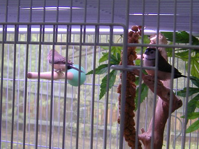 DSCF2025.JPG