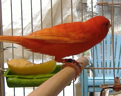 DSCF1995.JPG