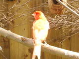 th_060328065038.jpg