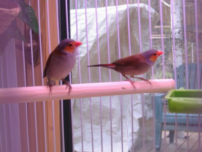 DSCF2093.JPG