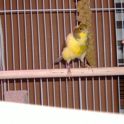 DSCF2061.JPG