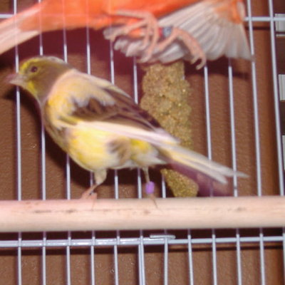 DSCF2059.JPG