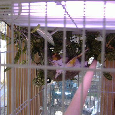DSCF2095.JPG