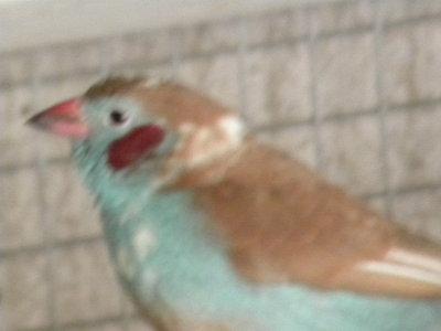 DSCN4405.JPG