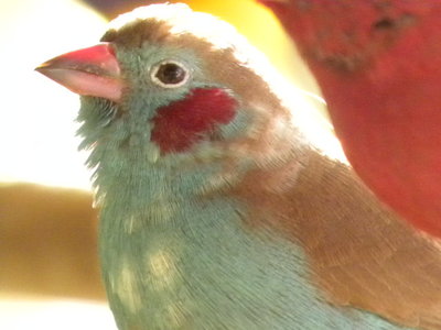 DSCN4410.JPG