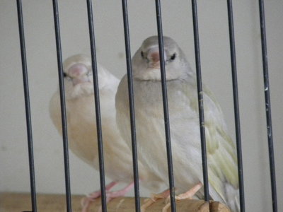 DSCN4516.JPG
