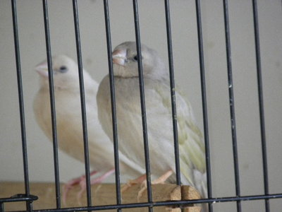 DSCN4517.JPG