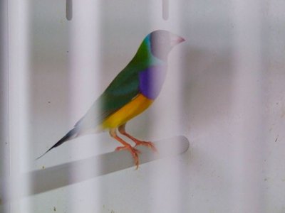 DSCF2703.JPG