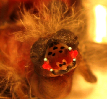 Blackbelly Fire Finch Nestling Red Tubercles Sm.jpg