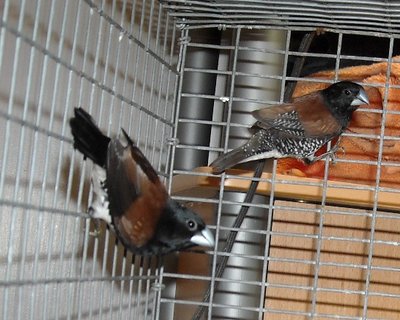 DSCN0005.JPG