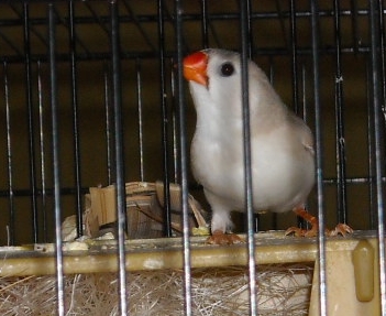 DSCN0003.JPG