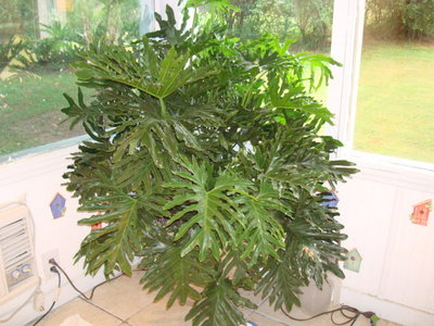 DSC04314.JPG