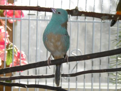 ffpicsDSCN2160.jpg