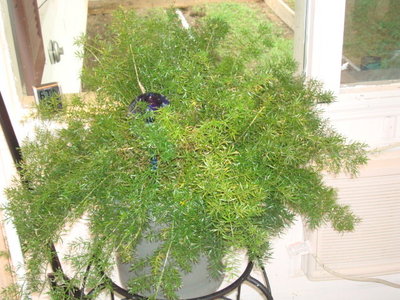 DSC04313.JPG