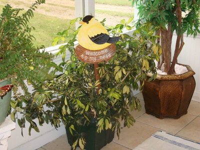 DSC04311.JPG