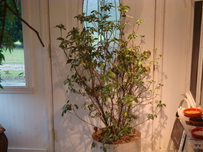 DSC04310.JPG