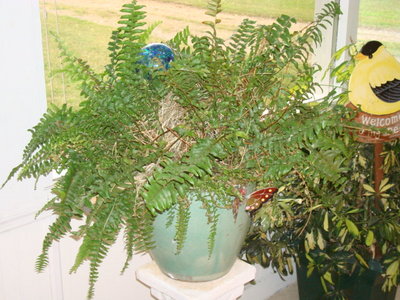 DSC04312.JPG