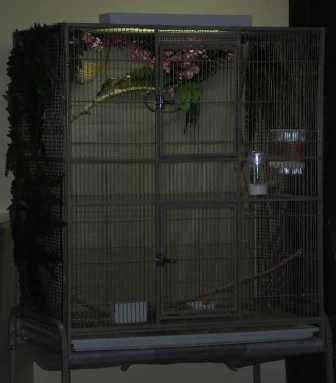 5-16 Green singer set up.jpg