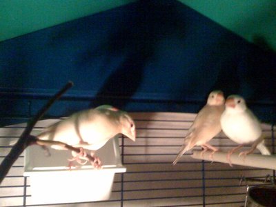 photo.jpg