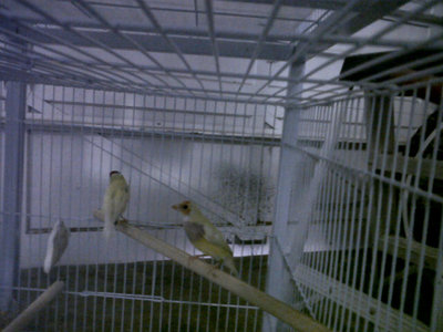 IMG00066-20110522-1555.jpg