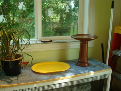 DSC08285.JPG
