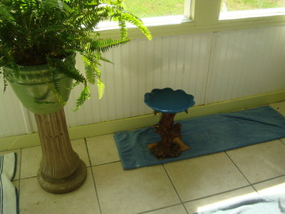 DSC08284.JPG