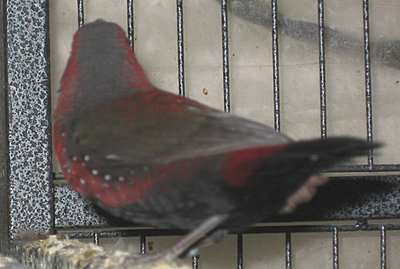 May2911a.jpg