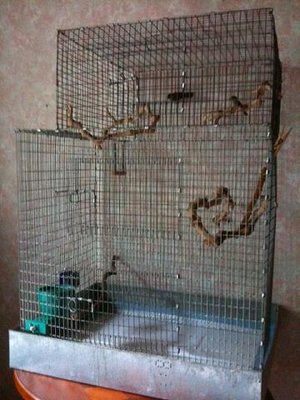 oc cage.JPG
