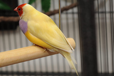 DSC_0203.jpg