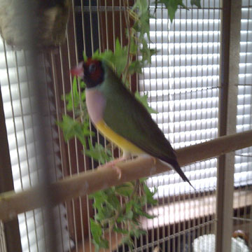 IMG-20110608-00015.jpg