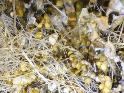 2011 089.jpg