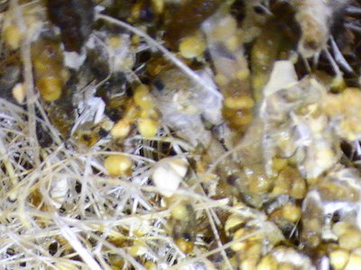 2011 088.jpg