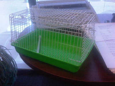 IMG00205-20110609-1316.jpg