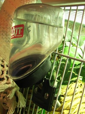 Here is the drinker attached to one of my individual cages.  I sort of tilted it to the side for a better picture but you can see how it works and attaches.
