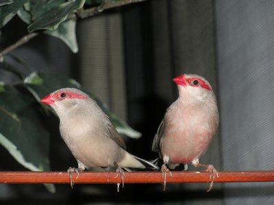 DSCN1081.JPG