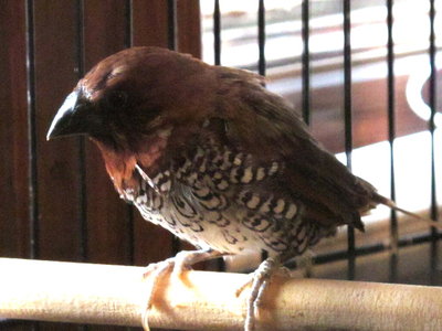 IMG_3951.JPG