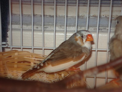 DSC03355.JPG