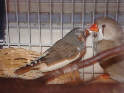 DSC03357.JPG